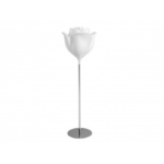 Rose lumineuse