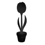 Tulipe noire