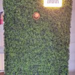 Mur végétal pour service apéritif
