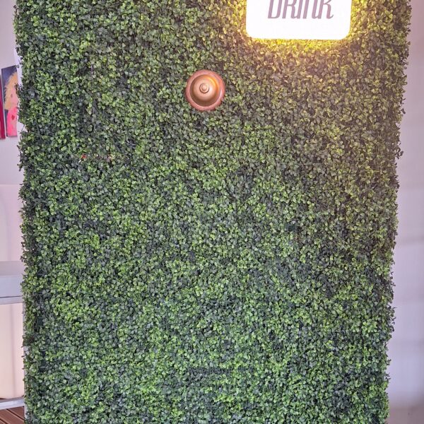 Mur végétal pour service apéritif